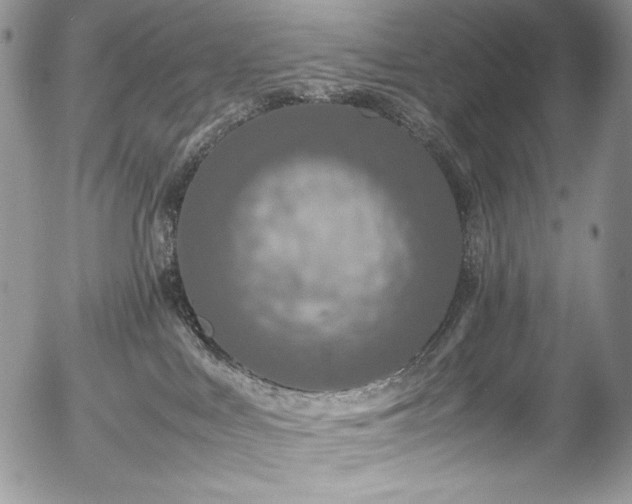 X0000054370043200507291058