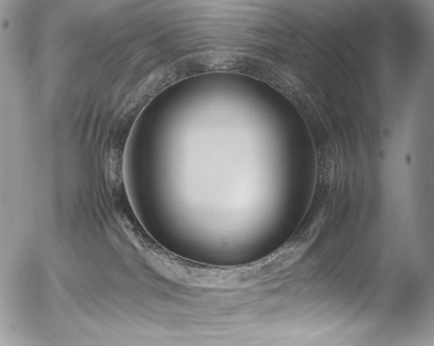 X0000054370044200507291058