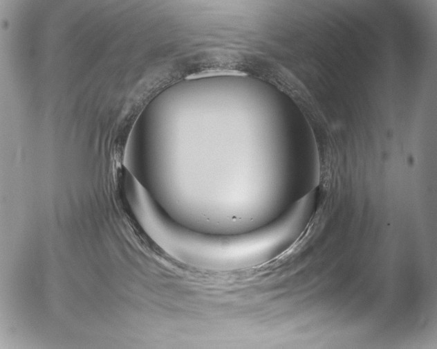 X0000054370045200507291058