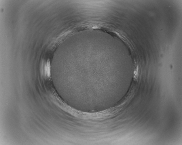 X0000054370046200507291058