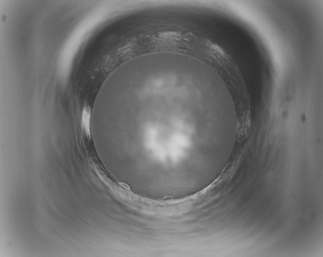 X0000054370047200507291058