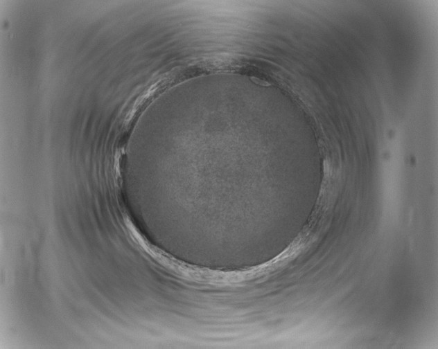 X0000054370048200507291058