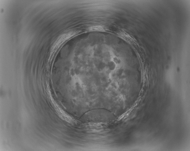 X0000054370049200507291057