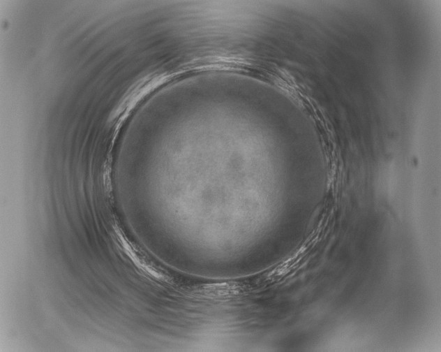 X0000054370050200507291057