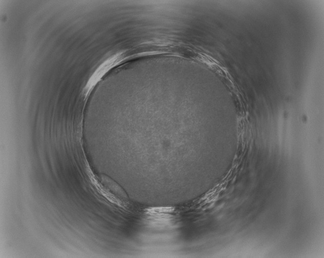 X0000054370051200507291057