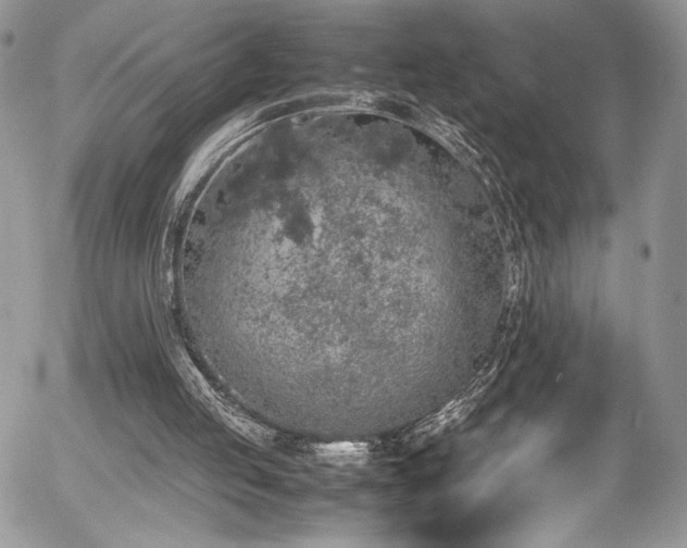 X0000054370053200507291057