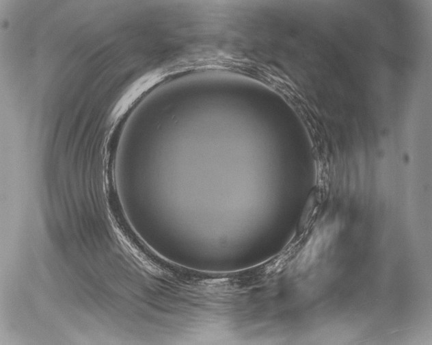 X0000054370054200507291057