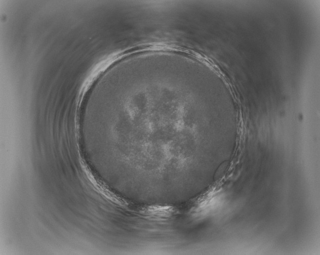 X0000054370055200507291057