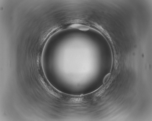 X0000054370057200507291057