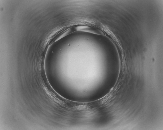 X0000054370058200507291057