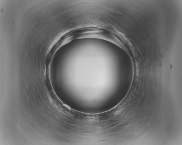 X0000054370060200507291057