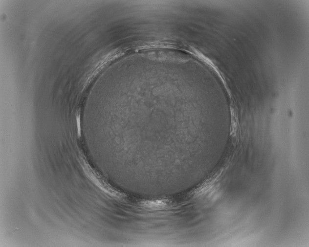 X0000054370061200507291057