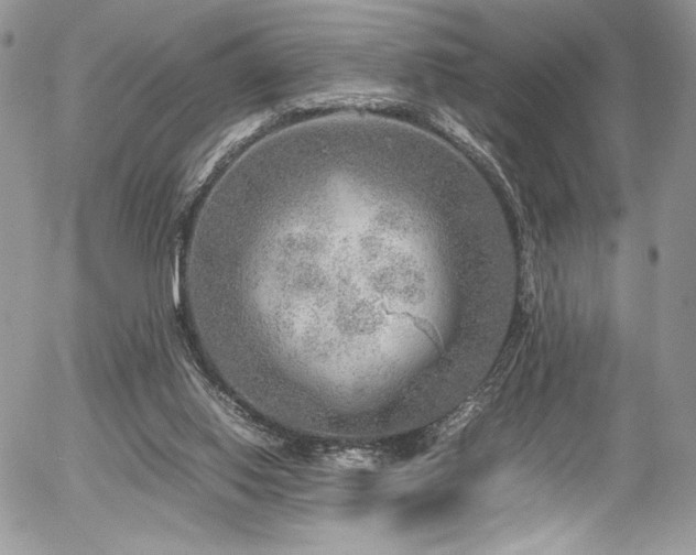 X0000054370062200507291057