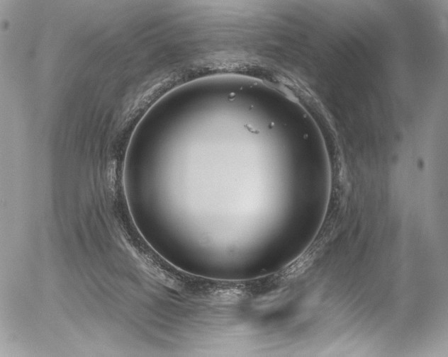 X0000054370066200507291057