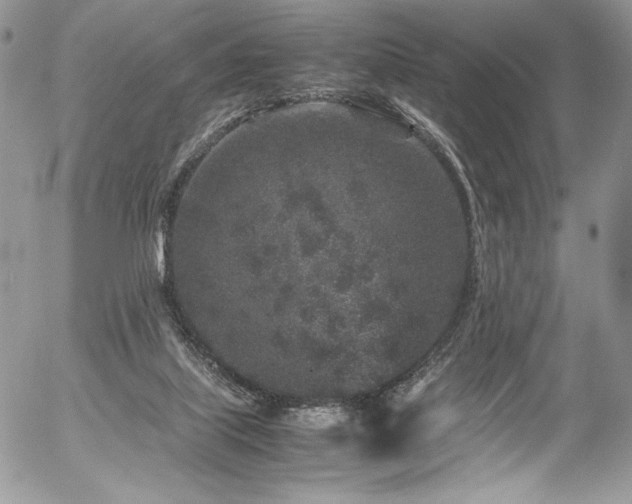 X0000054370067200507291057