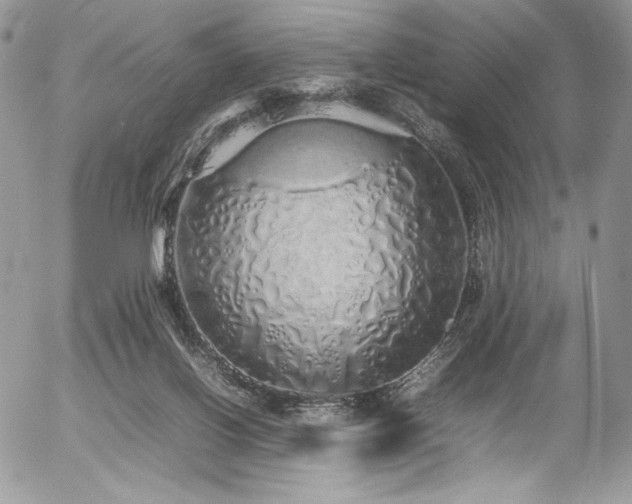 X0000054370070200507291057