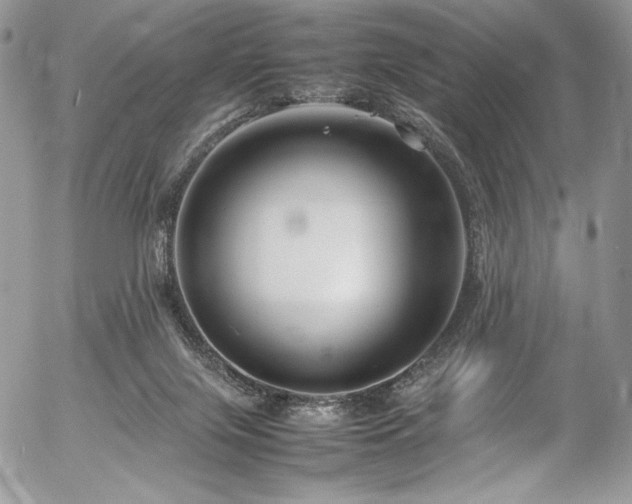 X0000054370071200507291057