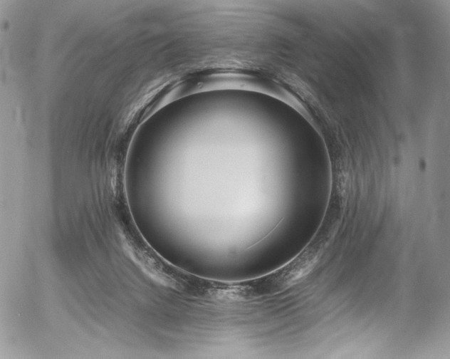 X0000054370072200507291057