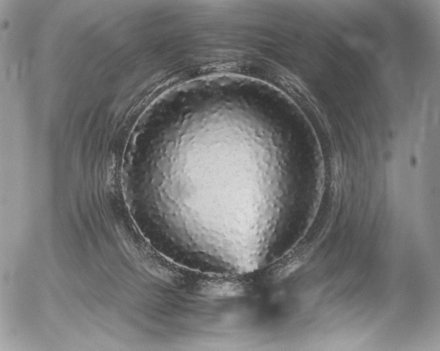 X0000054370073200507291057