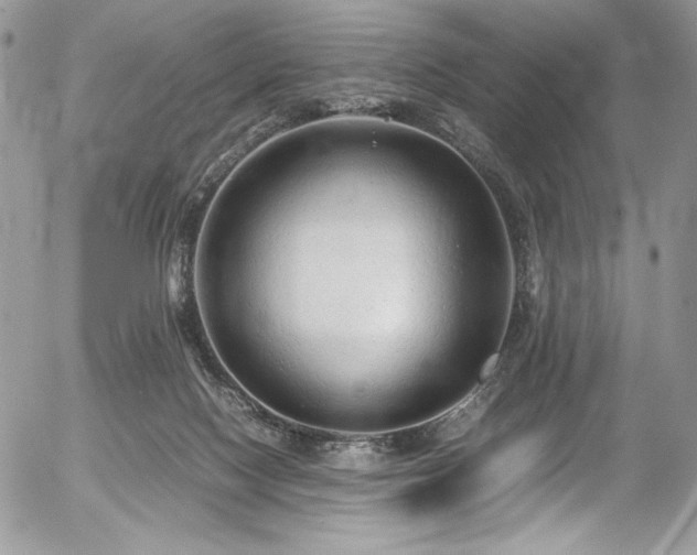 X0000054370074200507291057