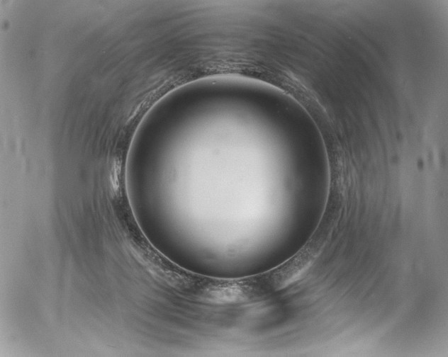 X0000054370075200507291057