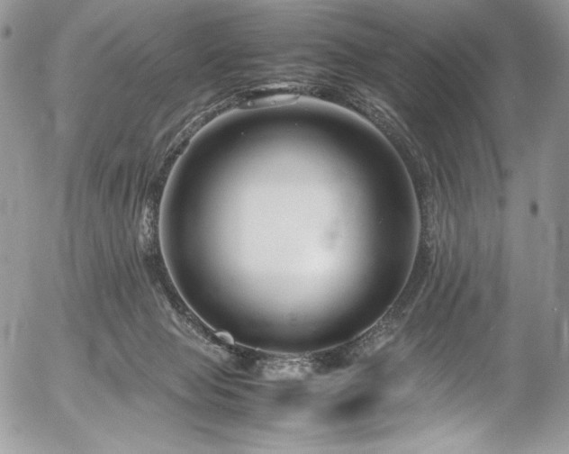 X0000054370077200507291057