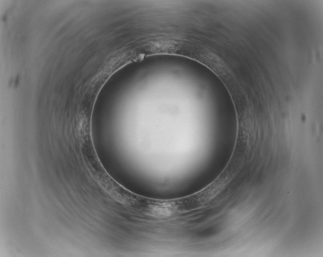 X0000054370079200507291057