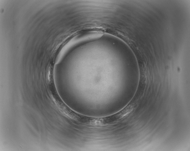 X0000054370080200507291057