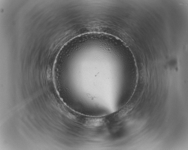 X0000054370081200507291057