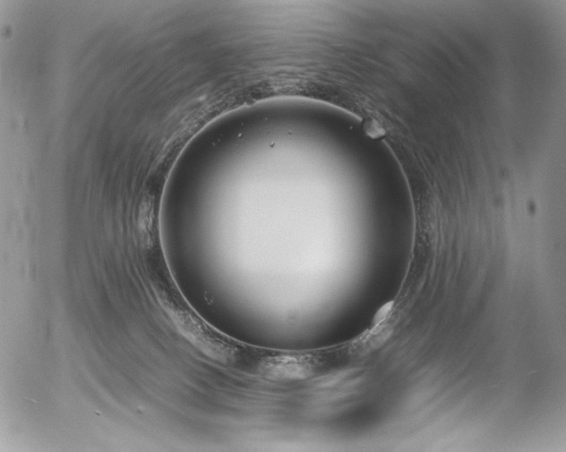 X0000054370082200507291057