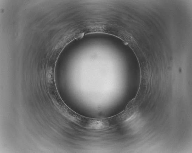 X0000054370083200507291058