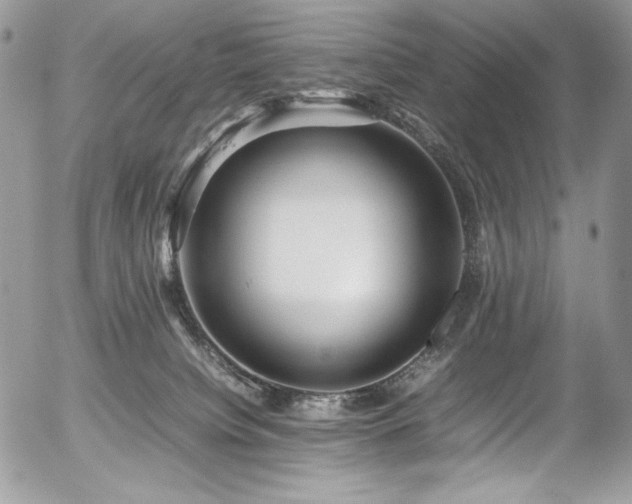 X0000054370084200507291058