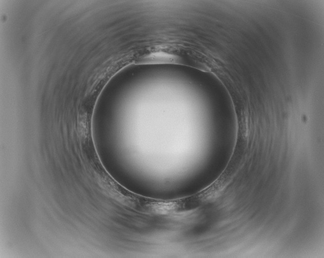 X0000054370085200507291058