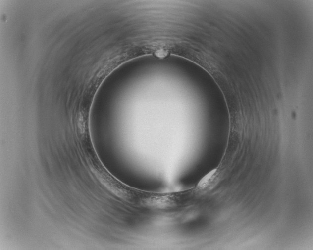 X0000054370086200507291058