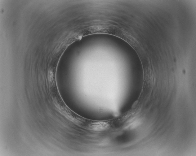 X0000054370087200507291058