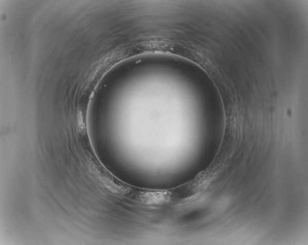 X0000054370089200507291058