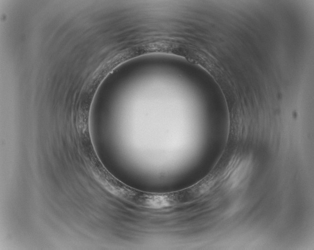 X0000054370091200507291058