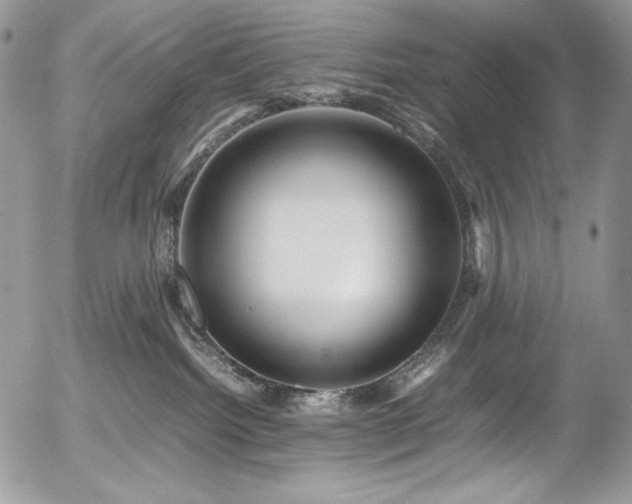 X0000054370092200507291058