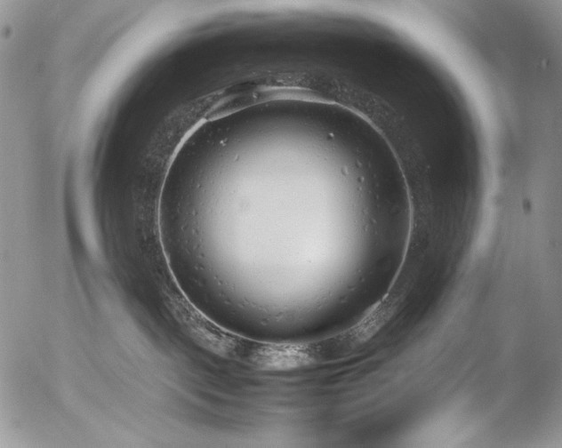 X0000054370093200507291058