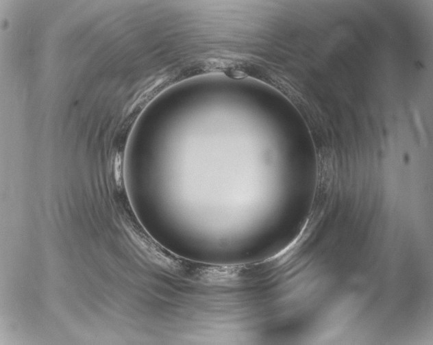 X0000054370094200507291058