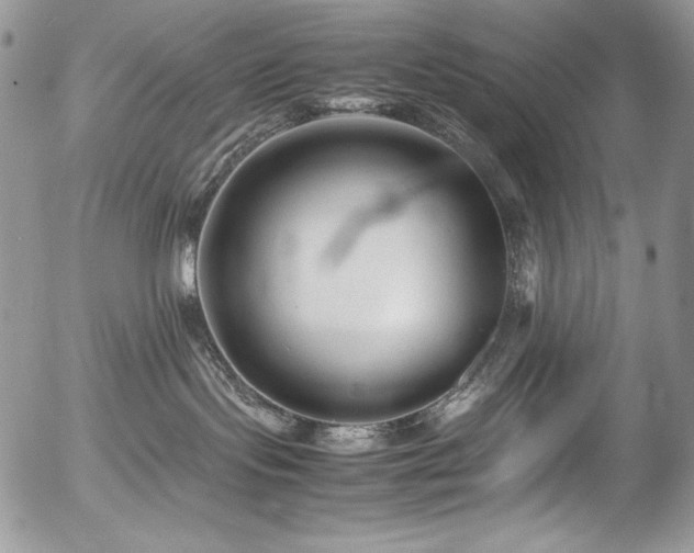 X0000054370095200507291058