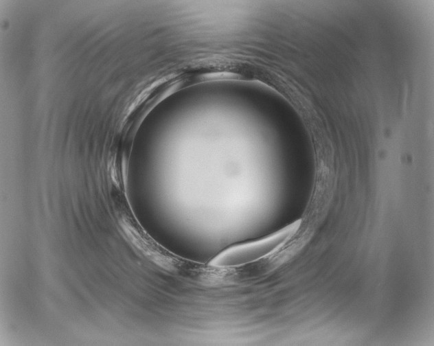 X0000054370096200507291058