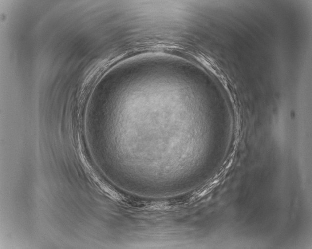 X0000054370097200507291057