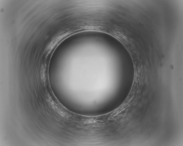 X0000054370098200507291057