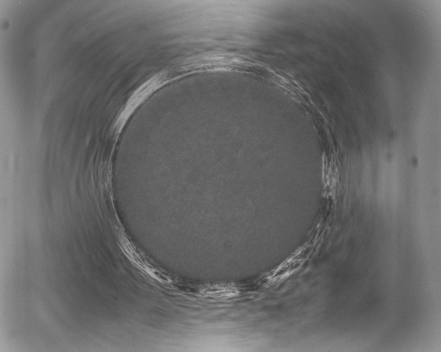 X0000054370099200507291057