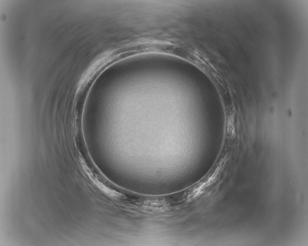 X0000054370101200507291057