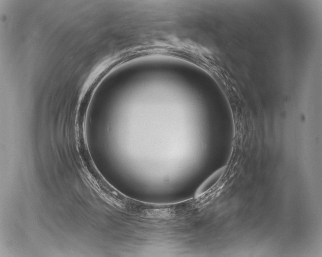 X0000054370102200507291057