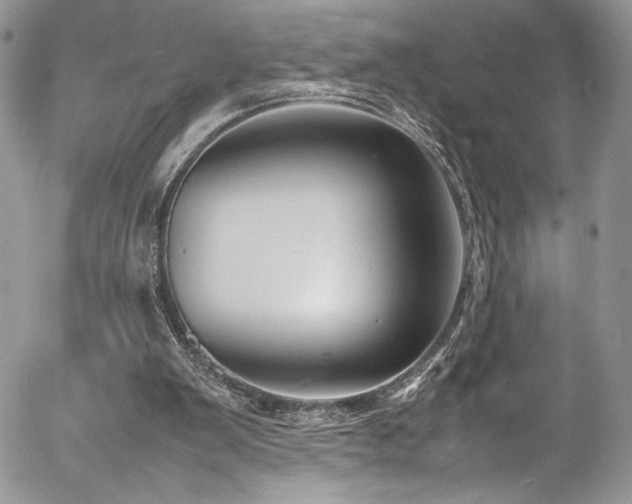 X0000054370103200507291057