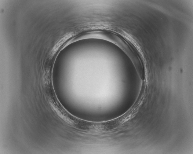 X0000054370105200507291057