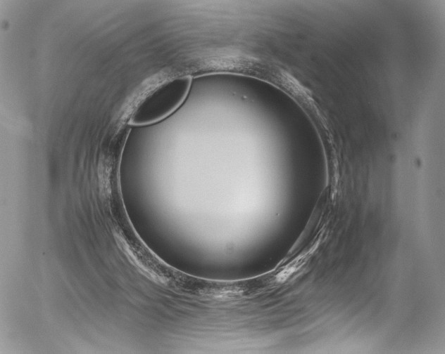 X0000054370106200507291057